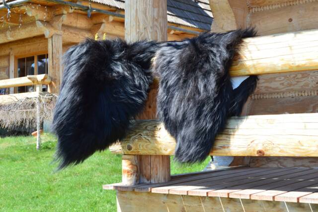 Icelandic Natural Black Genuine Sheepskin Lambskin Sheep Skin Rug Pelt Long Wool Soft, Schaffell, Hygge - image 1