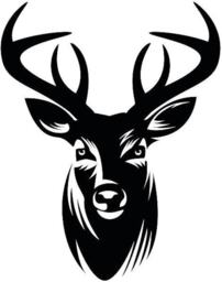 Stag Deer Head Decal Car Van Bonnet Vinyl Side Sticker Wall Art Hood Graphic Window Door Sign Motorhome Campervan - thumbnail 2