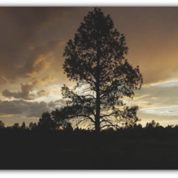 Photography, Original, Fine Art Landscape Nature Metal Photography Prints, Wall Art, Photo's - thumbnail 2