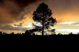 Photography, Original, Fine Art Landscape Nature Metal Photography Prints, Wall Art, Photo's