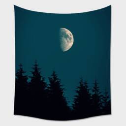 Moon Tapestry, Pine Forest, Wall Hanging, Wall Decor, Nature Tapestry, Wall Hanging, Night Sky, Wall Art, Phase Wall Tapestry - thumbnail 2