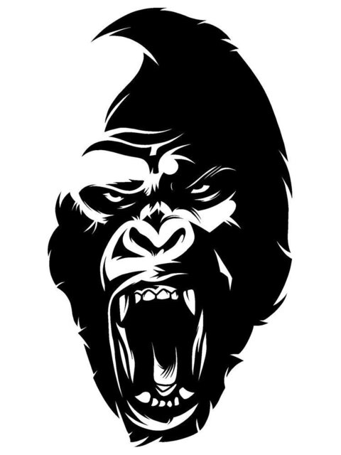 Gorilla Head Decal Car Bonnet Side Sticker Wall Art Vinyl Graphic Window Door Body Panel Van Sign Motorhome Camper Campervan Fun