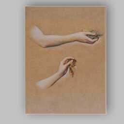 Botanical Hands Holding Autumn Leaves Contemporary Drawing Canvas Wall Art Print Decor Picture Ready To Hang - thumbnail 1