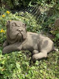 stone Garden Shar-Pei Pug Dog Detailed Cute Gift Concrete Ornament - thumbnail 1