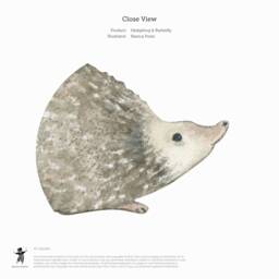 Hedgehog & Butterfly Fabric Wall Stickers. Removable & Reusable. Bianca Pozzi Collection - thumbnail 3