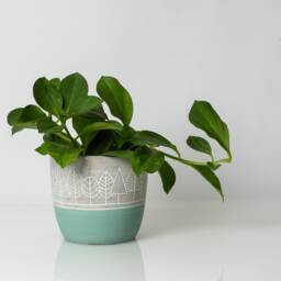 5 Inch Teal Forrest Pot, Tree Cache Etched Planter, Decorated Woodland Pot - thumbnail 3