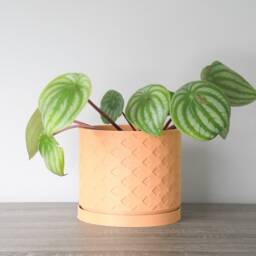 "Wallflower Planter With Drainage & Saucer in Orange Sherbet, Unique 3D-Printed Plant Pot, Small To Large Sizes 4"" 5"" 6"" 7"" 8" - thumbnail 4