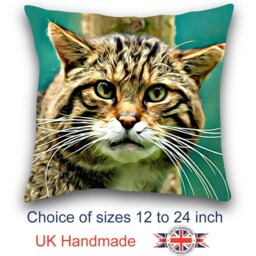 Scottish Wild Cat, Cat Cushion, Choice Of Sizes, Handmade - thumbnail 1