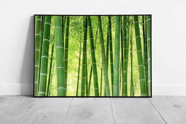 Vibrant Green Bamboo Forest Japan Sunny Day Wall Art Print - Framed Nature Picture Decor - image 1