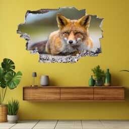 Fox Animal Wall Decal Sticker Mural Poster Print Art Home Office Decor Bs1 - thumbnail 1
