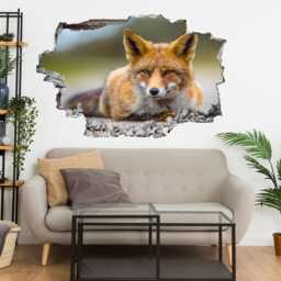 Fox Animal Wall Decal Sticker Mural Poster Print Art Home Office Decor Bs1 - thumbnail 2