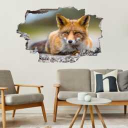 Fox Animal Wall Decal Sticker Mural Poster Print Art Home Office Decor Bs1 - thumbnail 3