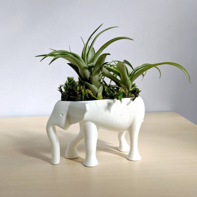 Elephant Planter For Hygge Home Cactus Planter, Air Plant Holder, Succulent Cute Animal Pot Holder - image 1