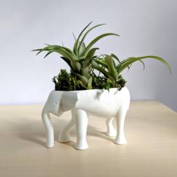Elephant Planter For Hygge Home Cactus Planter, Air Plant Holder, Succulent Cute Animal Pot Holder - thumbnail 1