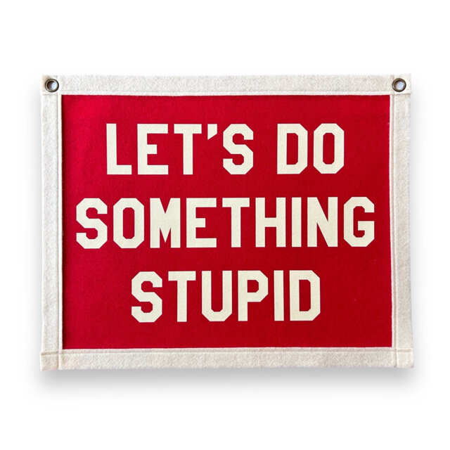 Let's Do Something Stupid Felt Pennant Banner - Vintage Style Wall Hanging - image 1