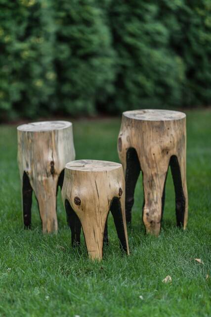 Natural Burned Tree Stump Side Table Rustic Garden Decor, Wooden Trunk Chair Outdoor, Wood Log - image 1