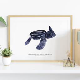 Leatherback Sea Turtle Hatchling - Dermochelys Coriacea Watercolor Art Print Baby Animals Wall Nursery Girl D??cor Fine Gift - thumbnail 2
