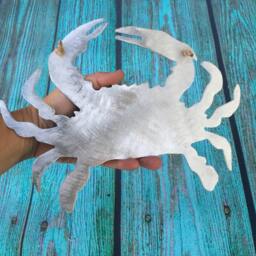 Crab, Metal Beach Home Decor, Wall, Patio, Garden Art, Tree Topper, Wedding Favor, Aluminum, Indoor, Outdoor, Won't Rust - thumbnail 3
