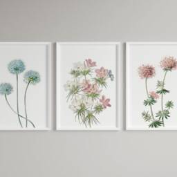 Dandelion Flower Prints, Botanical Wall Art, Set Of 3 - thumbnail 3