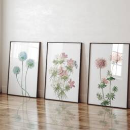 Dandelion Flower Prints, Botanical Wall Art, Set Of 3 - thumbnail 2