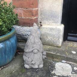 Large Cement Garden Gonk Weatherproof Gnome Ornament Watering Can - thumbnail 2