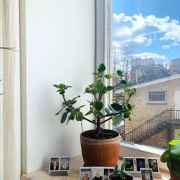 Handmade Concrete Photo Holder Modern Picture Stand - thumbnail 4