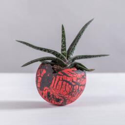 Two Handmade Rustic Pottery Indoor Platers, Set Of 2 Small Red & Black Ceramic Succulent Planters, Succulents Lovers Gift - thumbnail 3