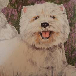 Westie Dog Cotton Cushion Floral Accent - thumbnail 2