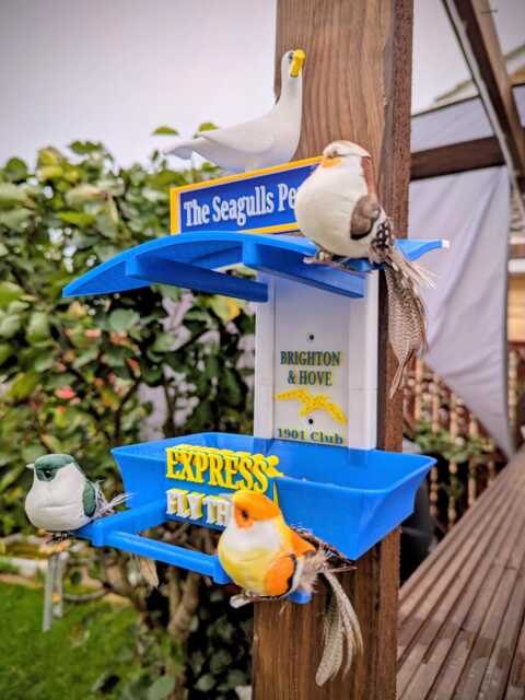 Brighton & Hove Garden Bird Feeding Station - Decor Wild Food Feeder Gift For Albion Fan- Seagulls Supporter Present - image 1