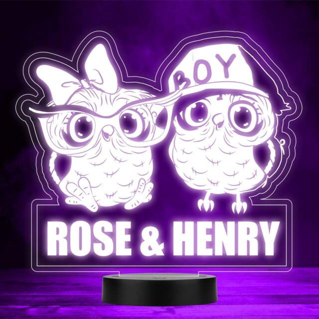 Cute Girl & Boy Owls Kids Twins Siblings Led Personalised Gift Night Light - image 1