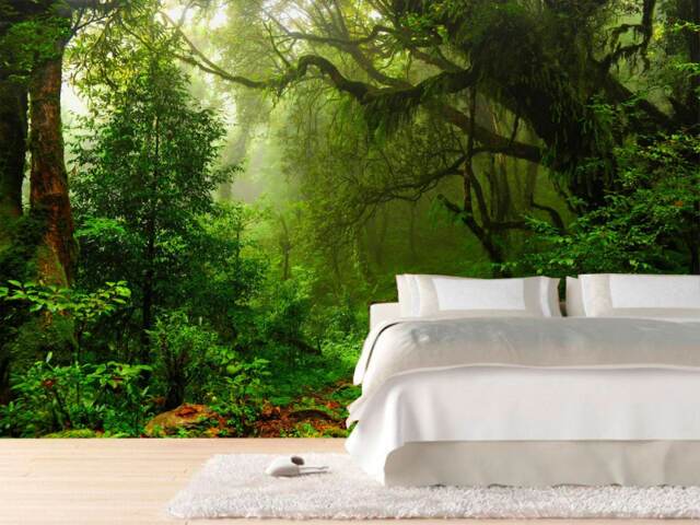 Dark Green Mystical Foggy Forest Regular Or Removable Wallpaper Nature Landscape Trees Wood Photo Mural For Living Room, Bedroom Wall Decor - image 1