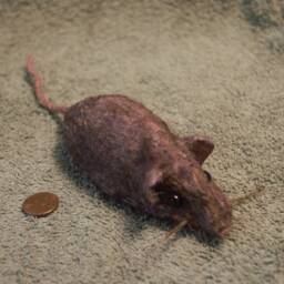 Rat Sculpture - thumbnail 2