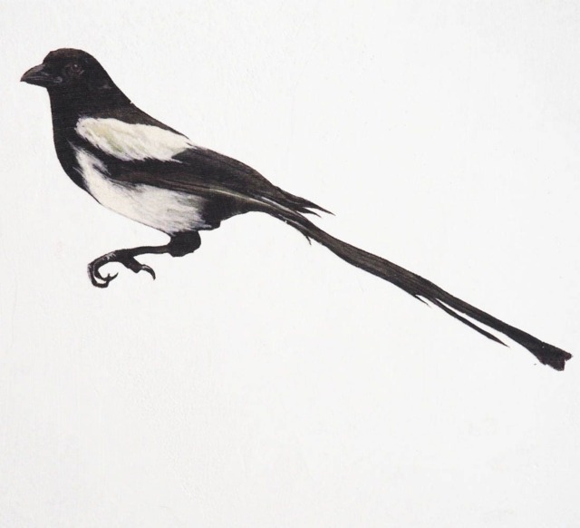 Magpie Sticker Wall Decal - image 1