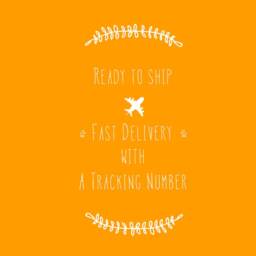 Magpie Sticker Wall Decal - thumbnail 4