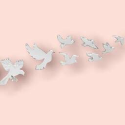 Custom Bird Shaped Acrylic Mirror Many Colors & Sizes - thumbnail 3