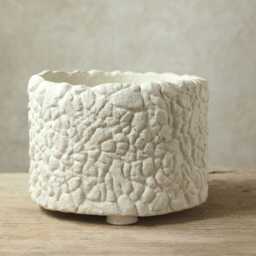 White Pot For Caudex, Succulents, Cacti/Rustic & Natural Style Size 17 cm - Width X 13 - Height. Two Versions - thumbnail 3