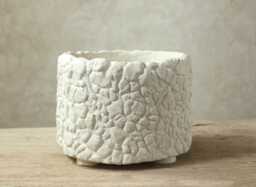 White Pot For Caudex, Succulents, Cacti/Rustic & Natural Style Size 17 cm - Width X 13 - Height. Two Versions - thumbnail 1