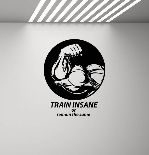 Train Insane Or Remain The Same Gym Wall Decal Sign Quote Poster Sport Gift Vinyl Sticker Inspirational Decor Fitness Art Print G746 - image 1