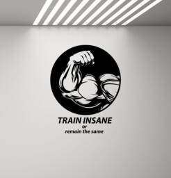 Train Insane Or Remain The Same Gym Wall Decal Sign Quote Poster Sport Gift Vinyl Sticker Inspirational Decor Fitness Art Print G746 - thumbnail 1