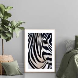 Zebra Print, Safari Fashion Wall Art, Stylish Black & White Bold Prints, Home Decor Retail - thumbnail 3