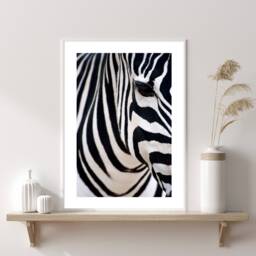 Zebra Print, Safari Fashion Wall Art, Stylish Black & White Bold Prints, Home Decor Retail - thumbnail 1