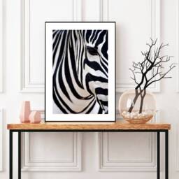 Zebra Print, Safari Fashion Wall Art, Stylish Black & White Bold Prints, Home Decor Retail - thumbnail 2