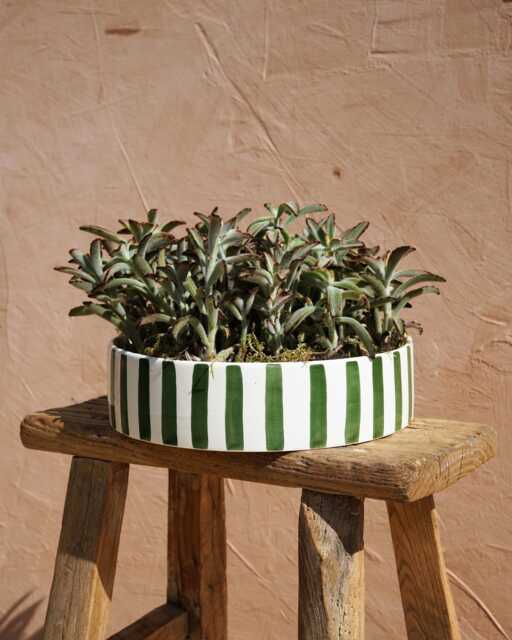 Mid-Season Sale Handmade Green Striped Ceramic Dish, Planter, Glazed Pottery, Moroccan Atlas Mountains - image 1