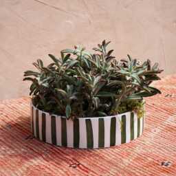 Mid-Season Sale Handmade Green Striped Ceramic Dish, Planter, Glazed Pottery, Moroccan Atlas Mountains - thumbnail 3