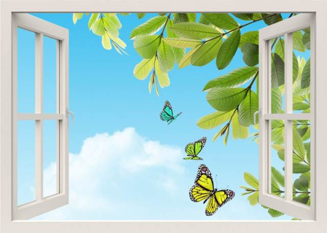 Butterflies Wall Decal, Sticker, Nature 3D Window Decal Frame View Home Decor