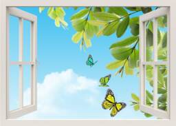 Butterflies Wall Decal, Sticker, Nature 3D Window Decal Frame View Home Decor
