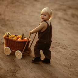 Handcrafted Wicker Pram Toy Stroller Wagon, Storage - thumbnail 2