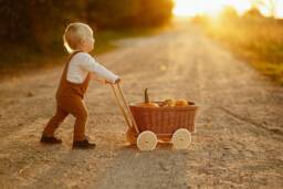 Handcrafted Wicker Pram Toy Stroller Wagon, Storage