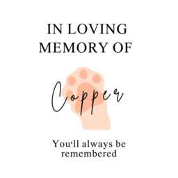 Personalised Pet Memorial Candle, Soy Wax Loss Gift, Remembrance in Loving Memory Bereavement - thumbnail 2