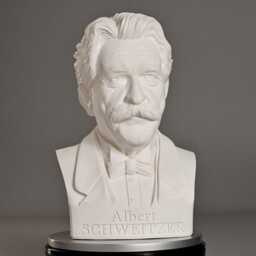 Albert Schweitzer 35 cm Bust - Busts With Personality - thumbnail 2